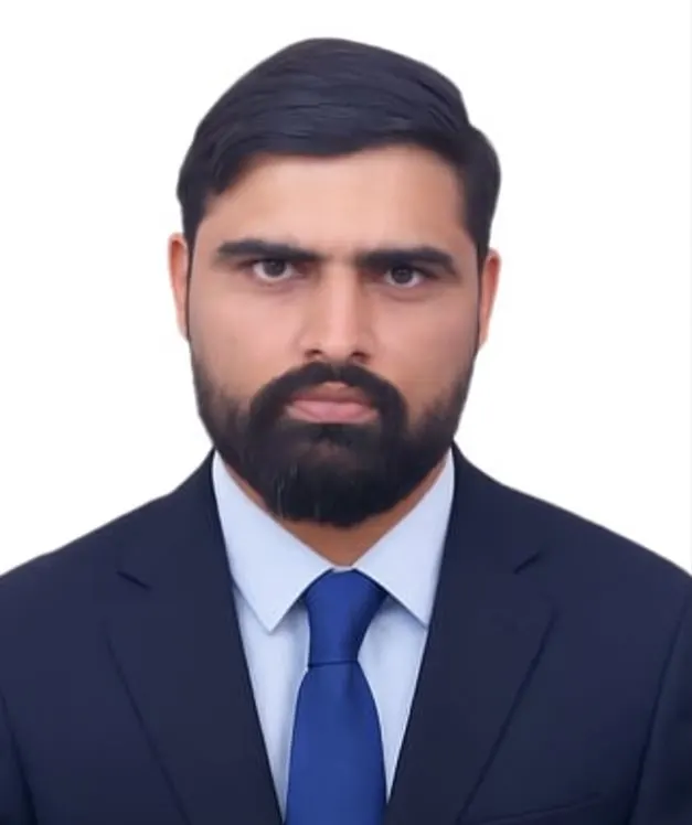 Sanjeev S. - Enterprise Excel systems architect